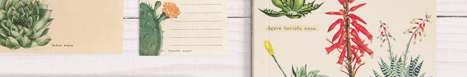 Cavallini Papers & Co - La Papelaria