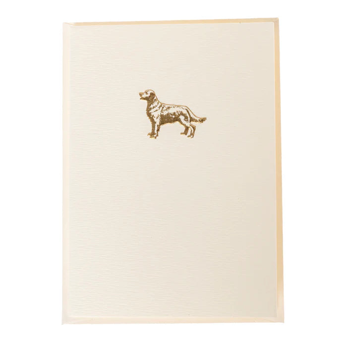 Caja Tarjetas Golden Retriever