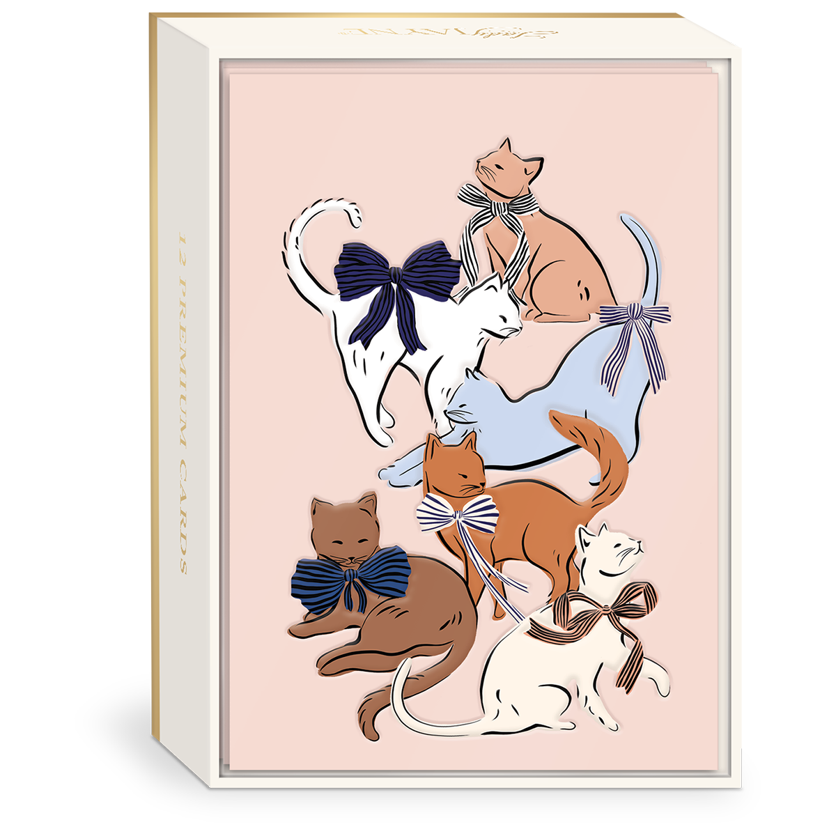Caja 12 Tarjetas Everyday Gatos con Cintas