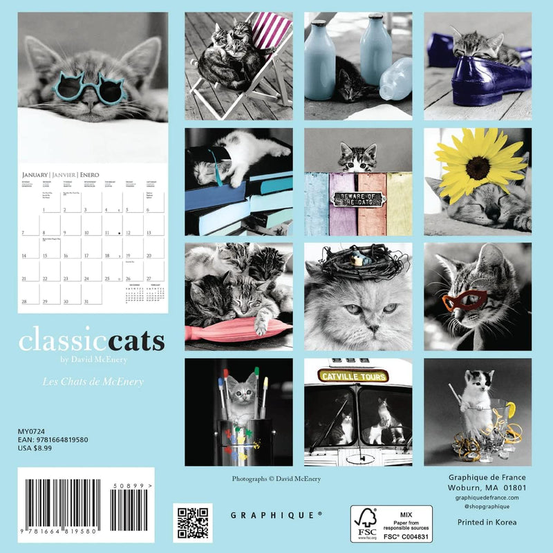 Calendario 2024 Classic Cats 16 Meses