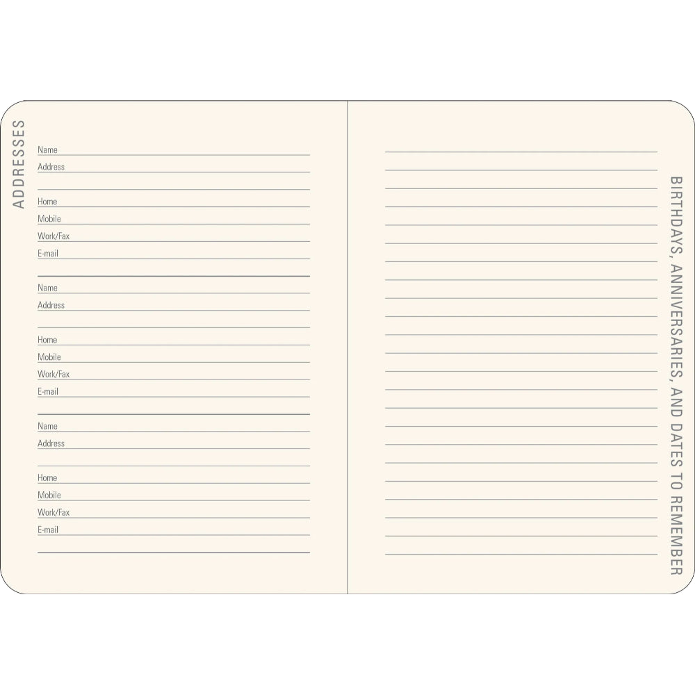 Agenda 2026 Sunflower Dreams 16 Meses