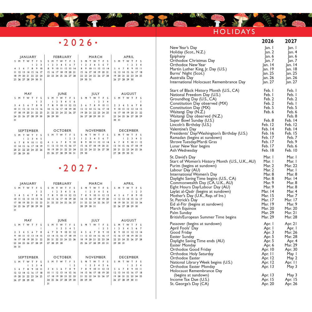 Agenda 2026 Mushrooms 24 Meses