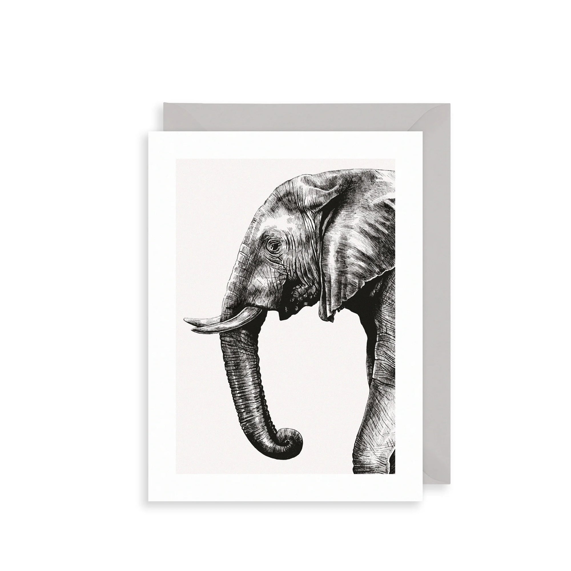 Tarjeta con Sobre Elephant
