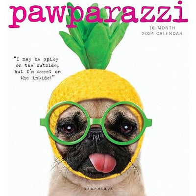 Calendario 2024 Pawparazzi 16 Meses