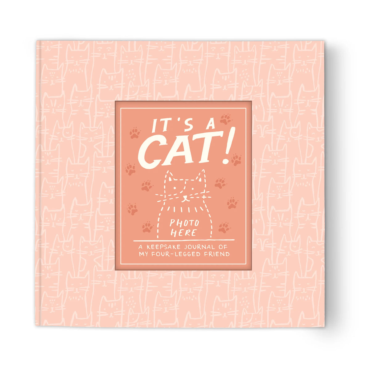 Libro Guía Es Un Gato