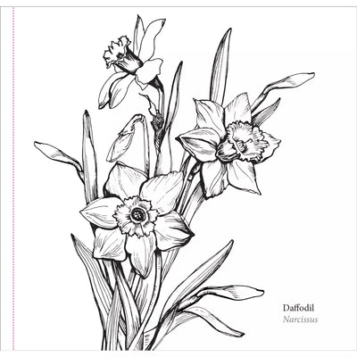Libro para Colorear Spring Blooms